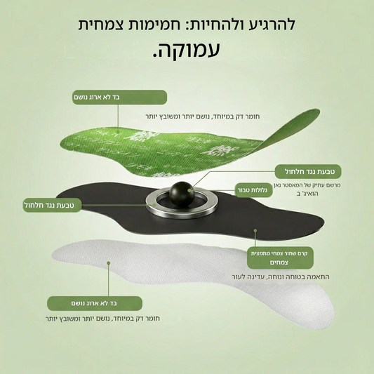 קנה אחד קבל אחד חינם 🎉 מדבקת האיזון הצמחית היפנית במחיר מיוחד