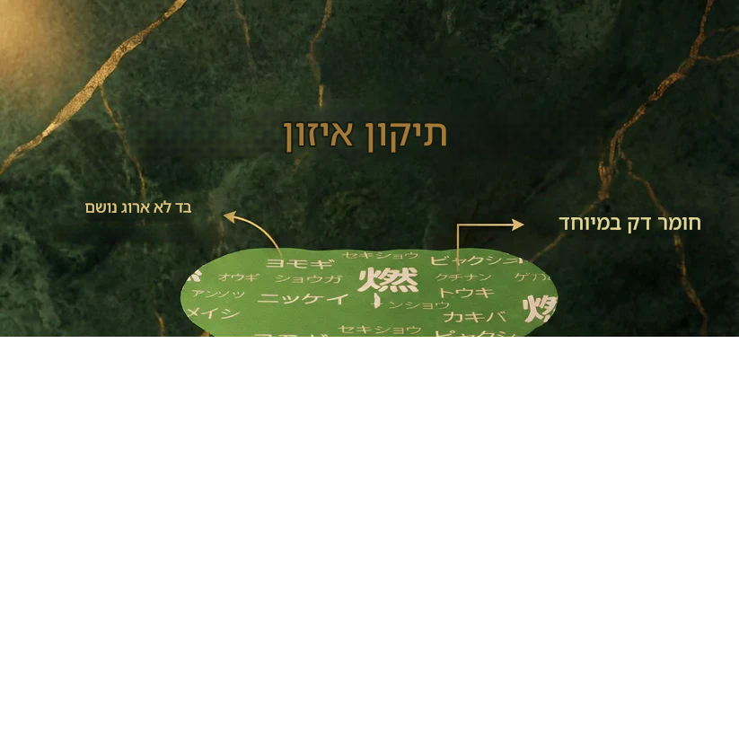 קנה אחד קבל אחד חינם 🎉 מדבקת האיזון הצמחית היפנית במחיר מיוחד